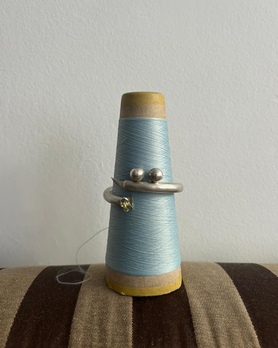 The tooth of an unknown fish